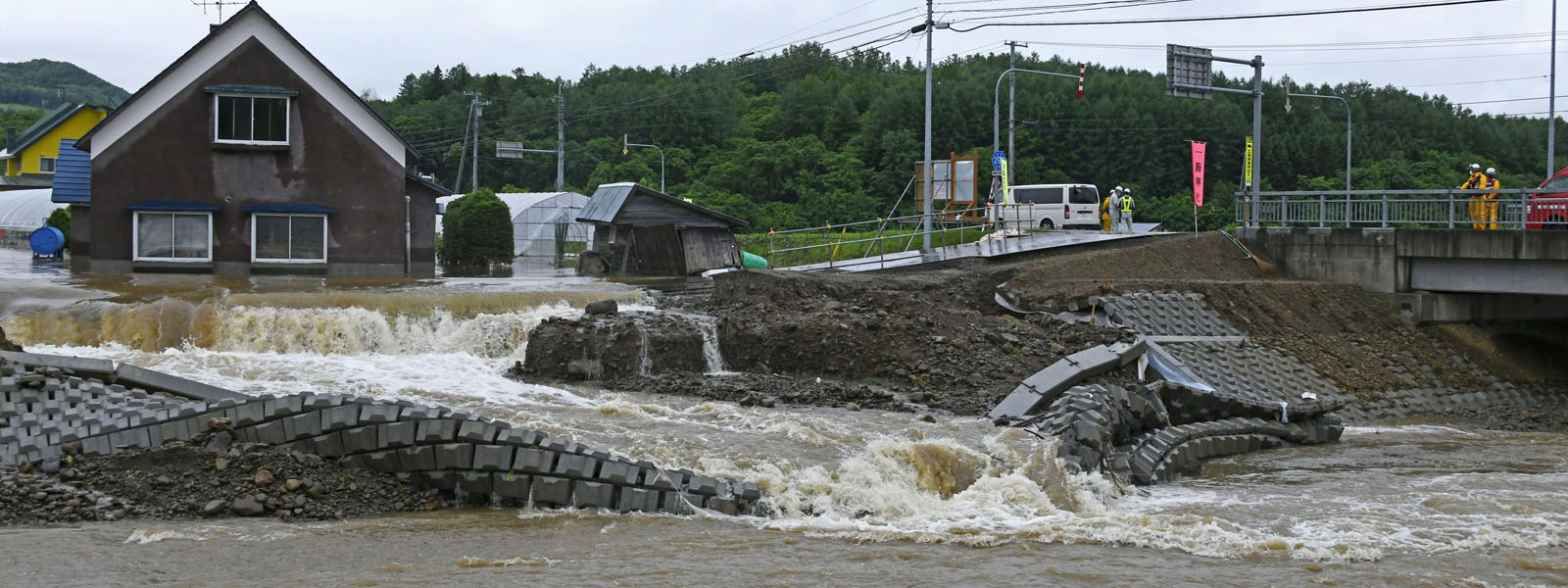 写真: