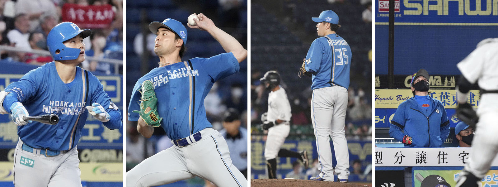 写真: