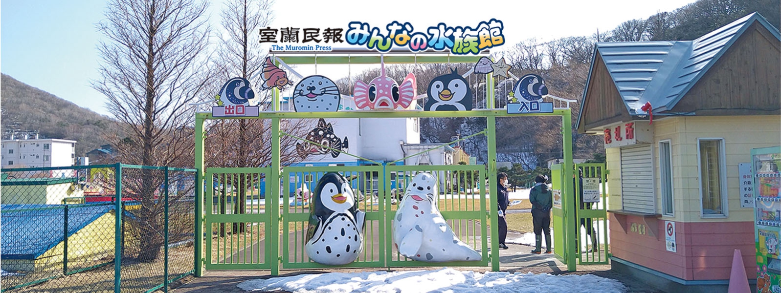 写真：