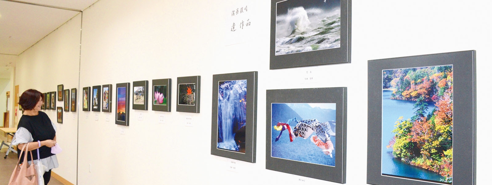 写真：