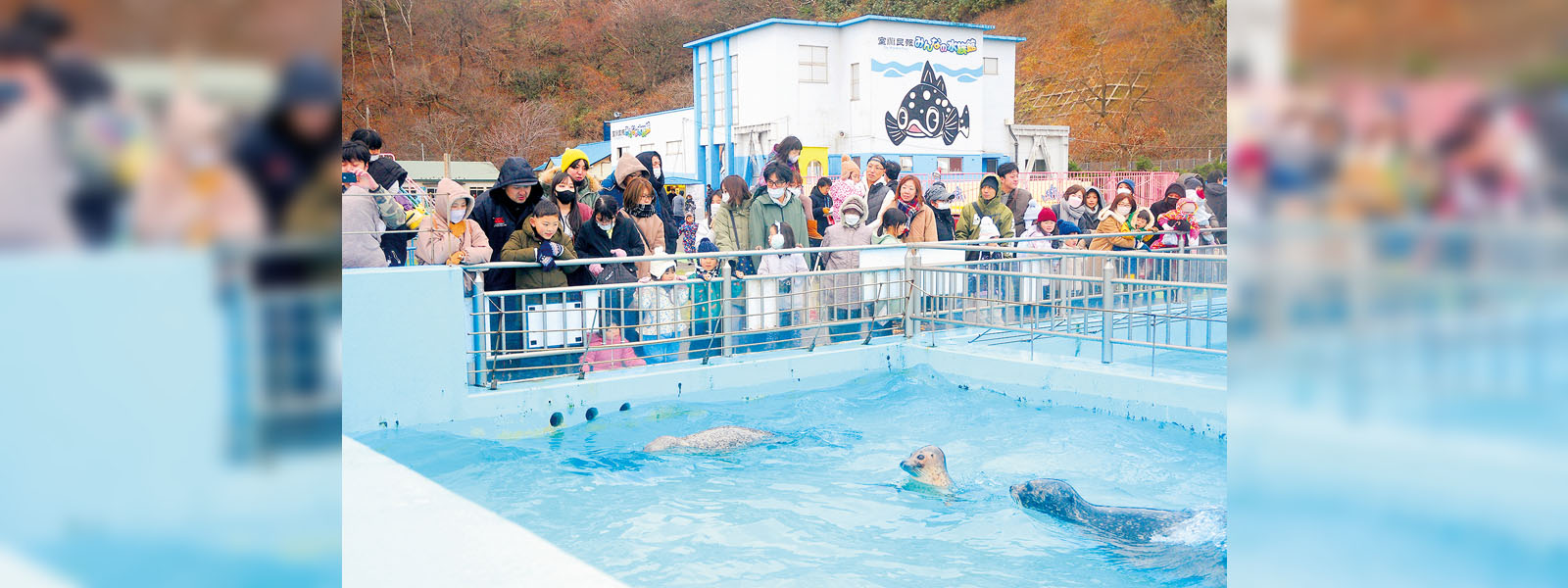 写真：