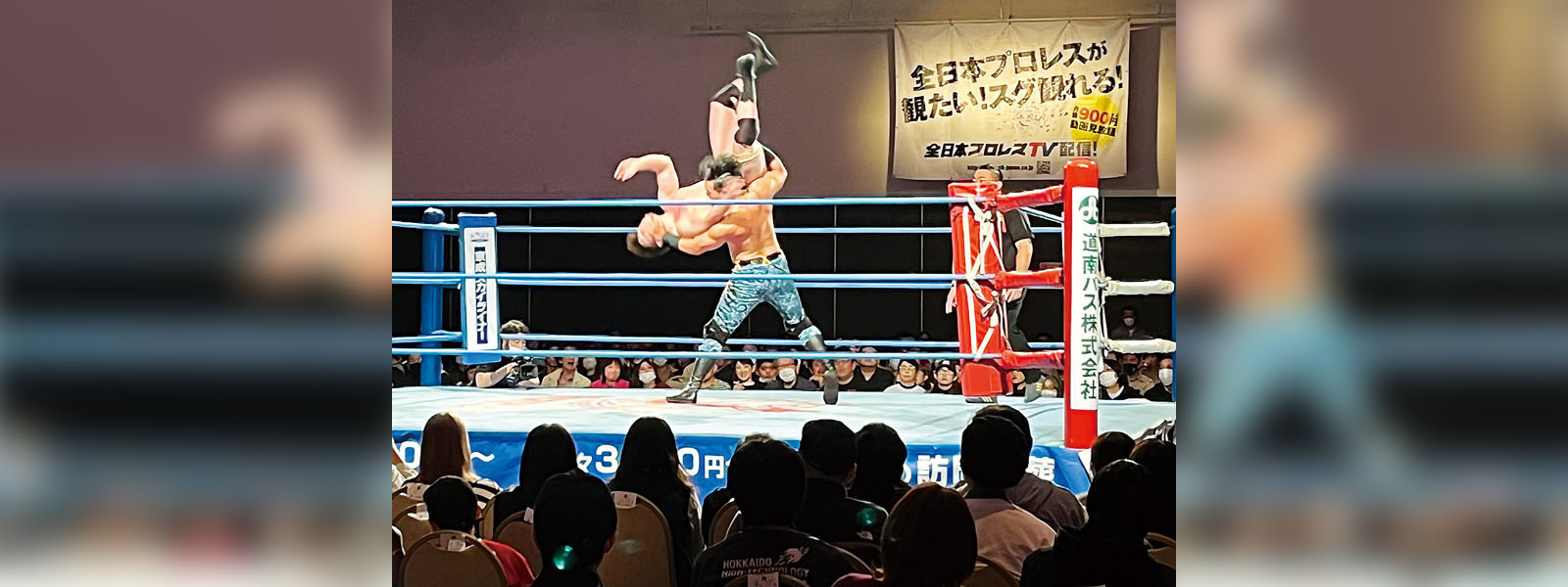写真：