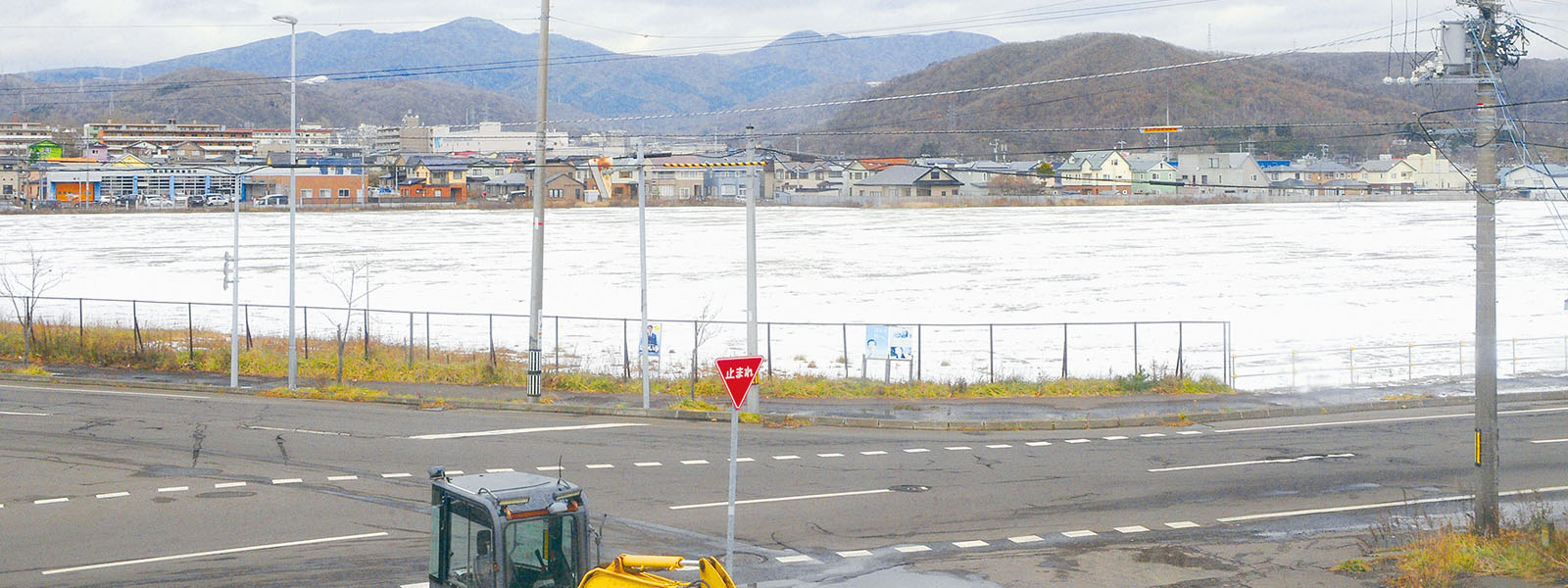 写真：