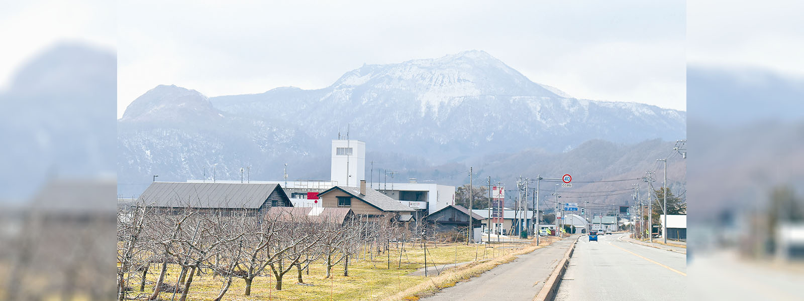 写真：
