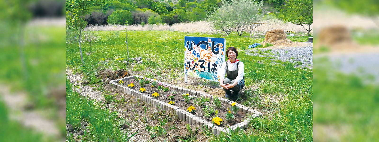 写真：