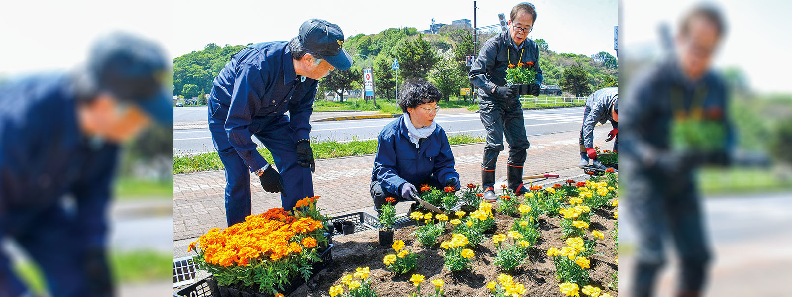 写真：