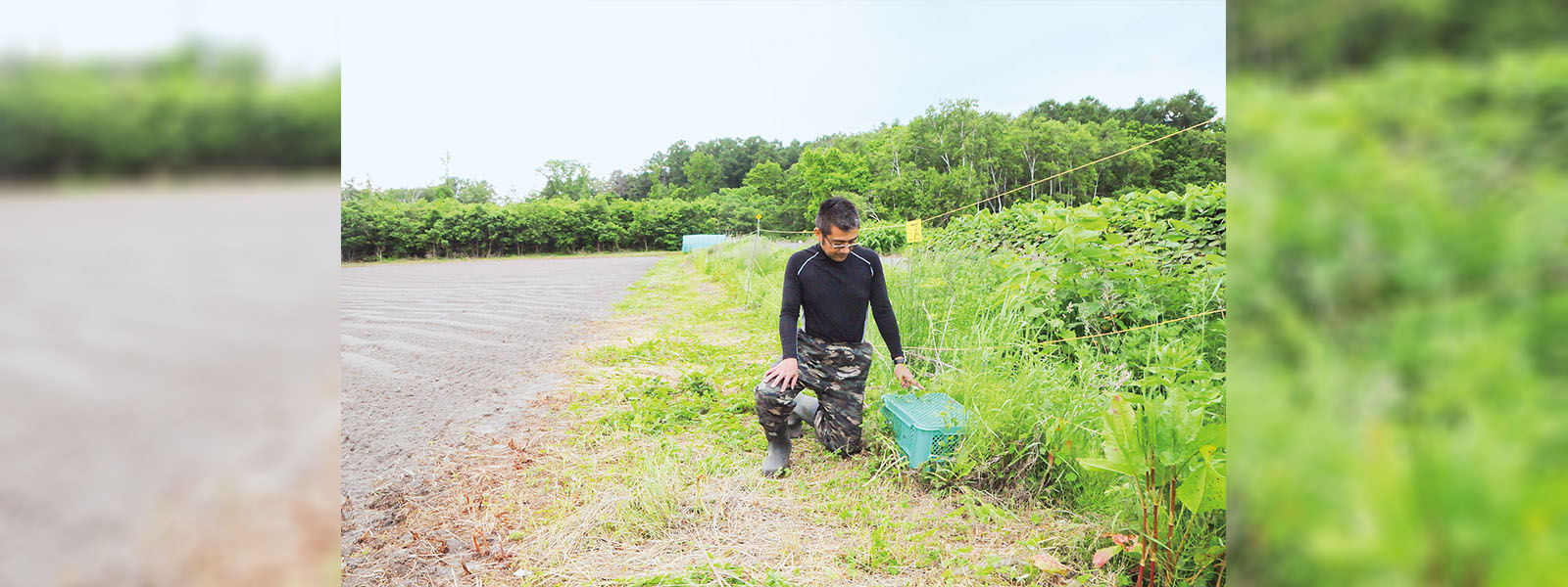 写真：