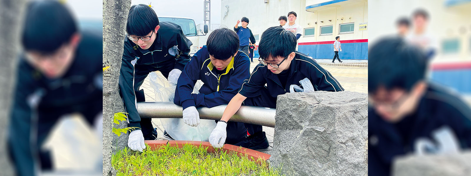 写真：