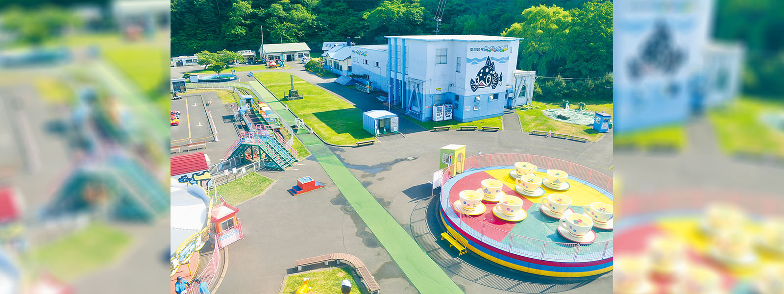 写真：