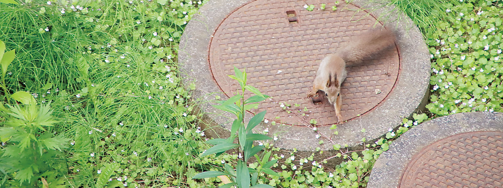 写真：
