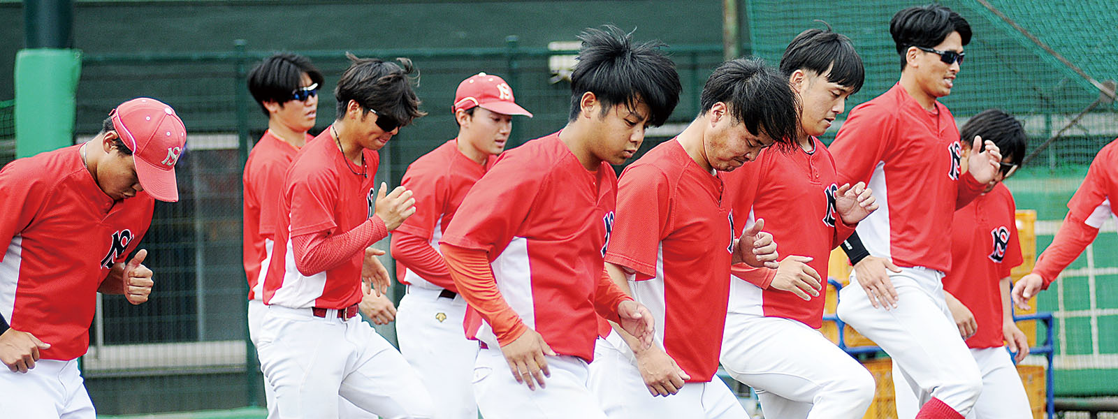 写真：