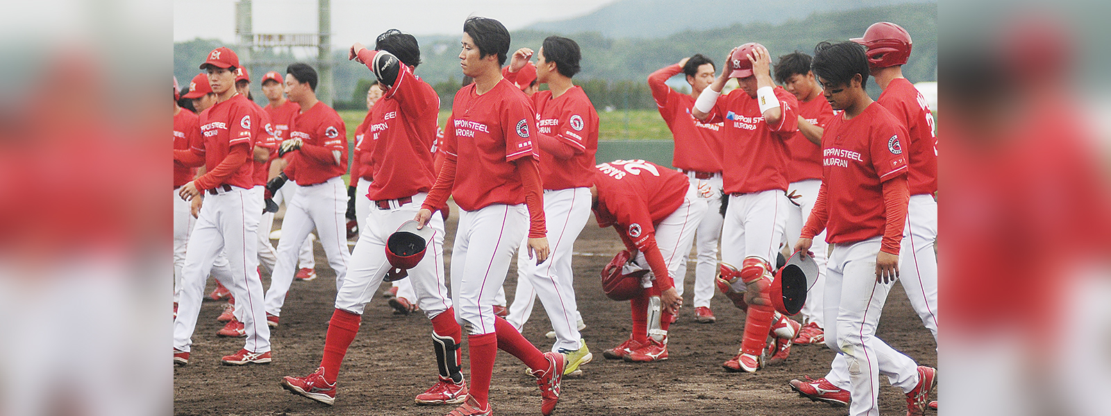 写真：