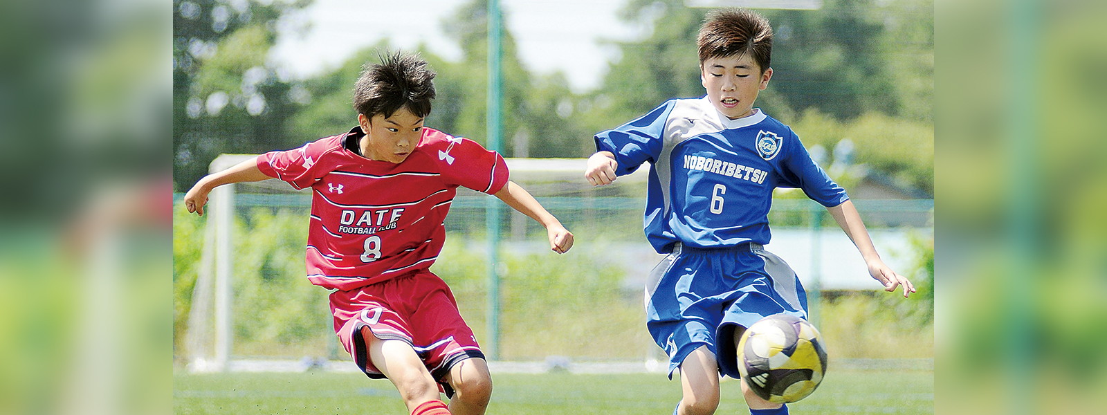 写真：