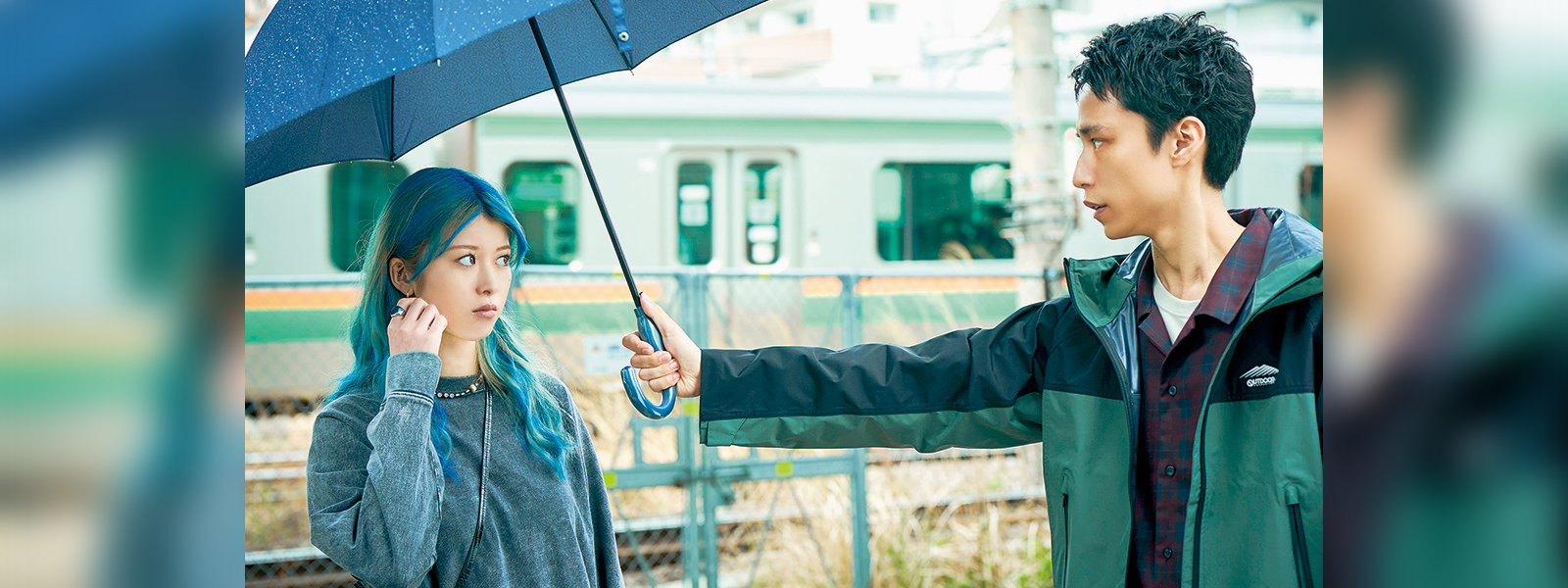 写真：