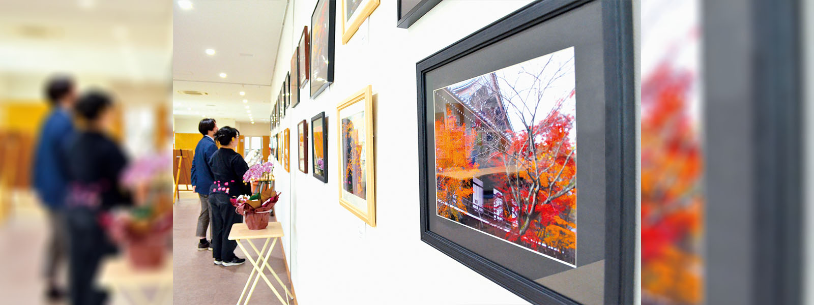写真：
