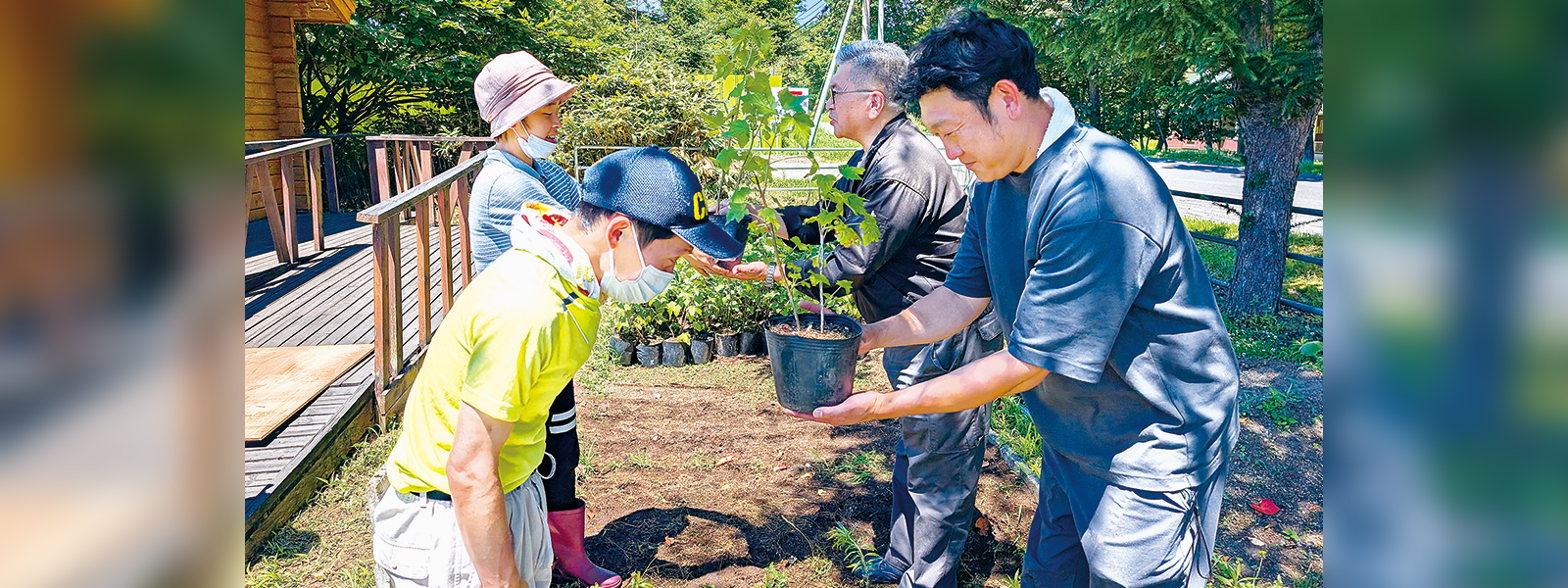 写真：