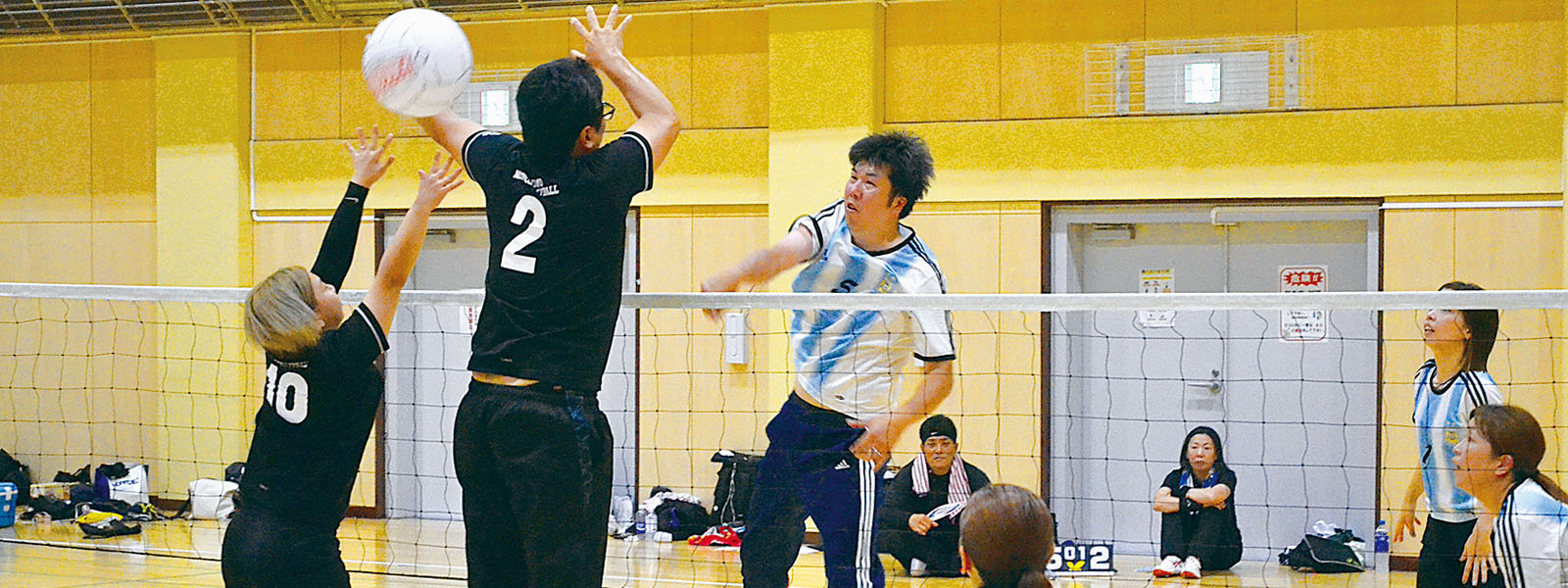 写真：