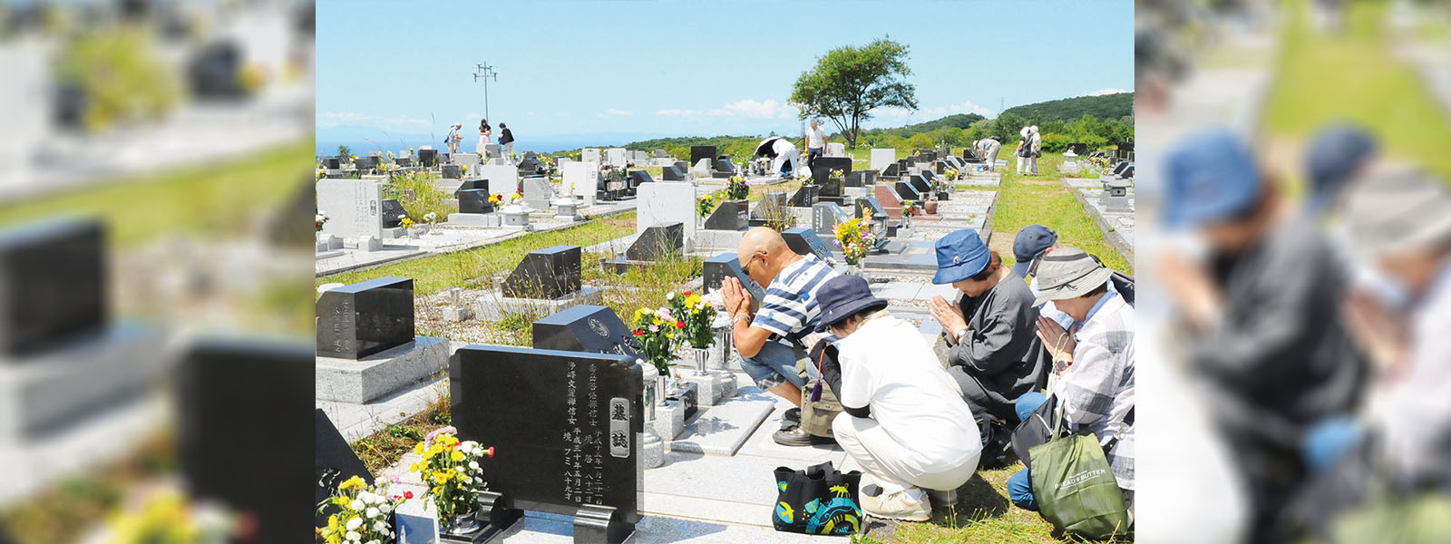 写真：