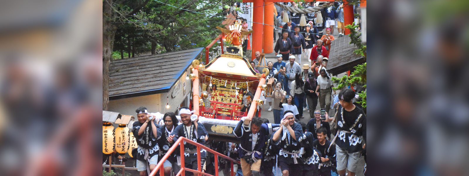 写真：