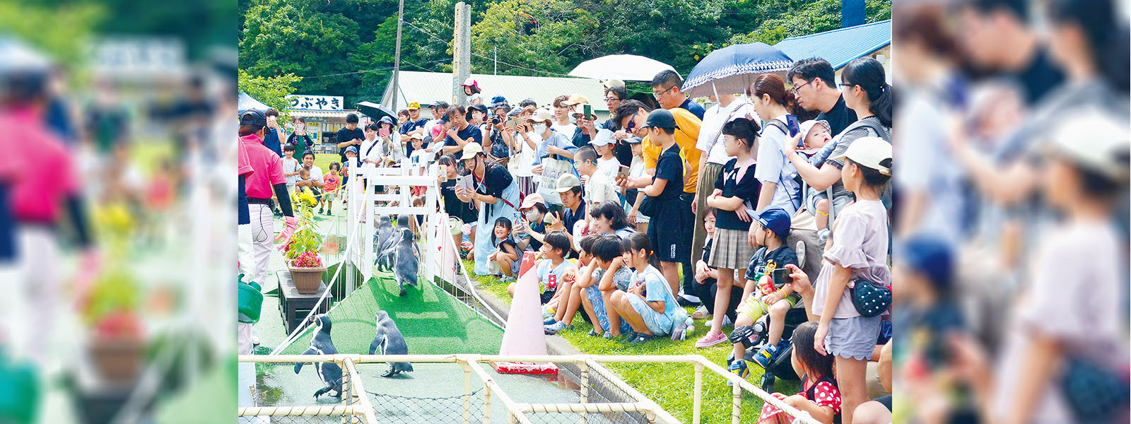 写真：