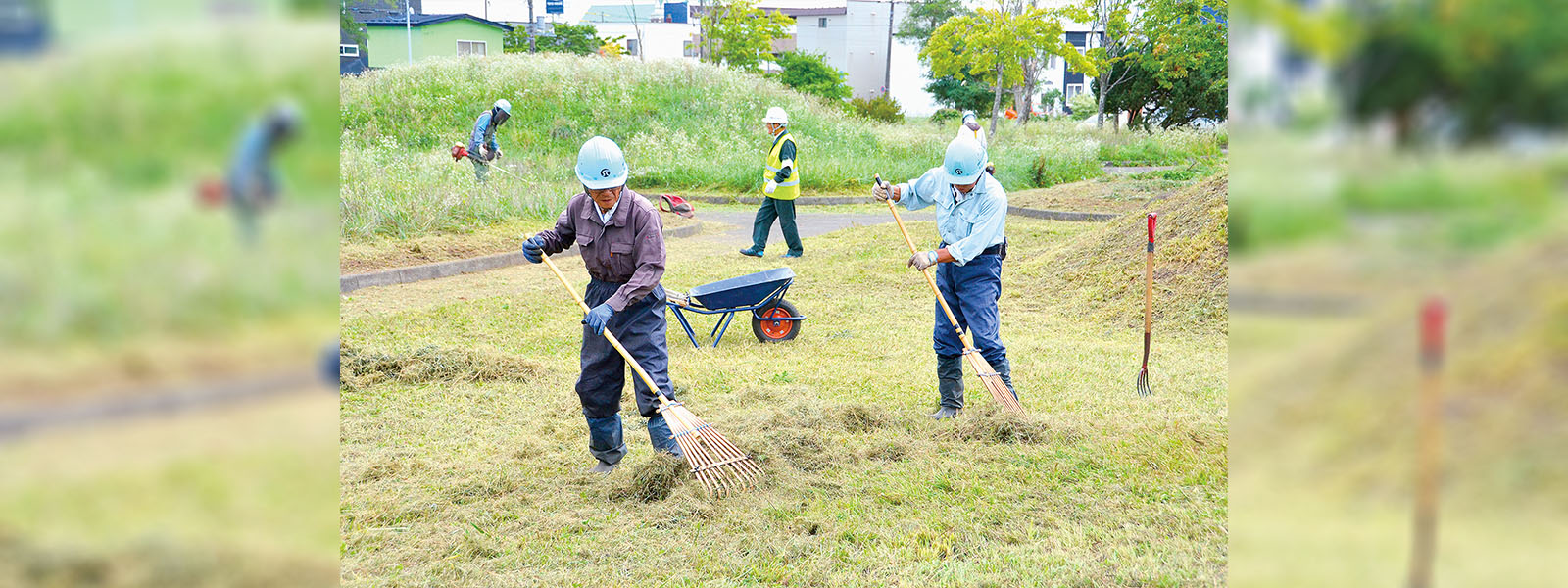 写真：