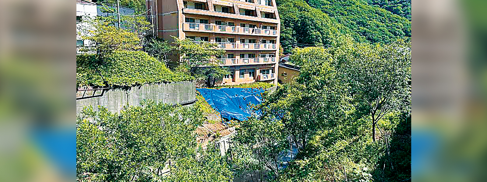 写真：