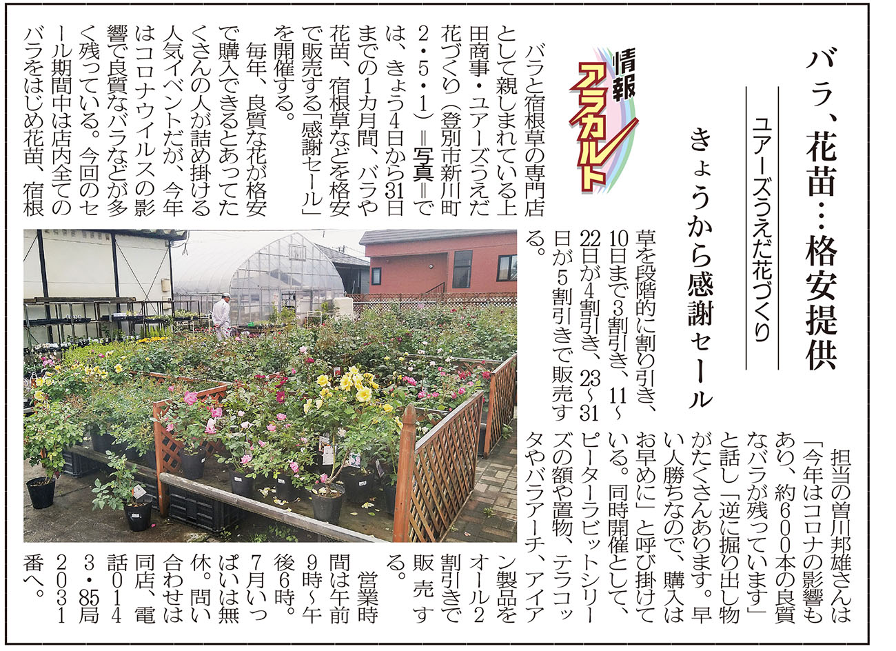 記事写真メイン