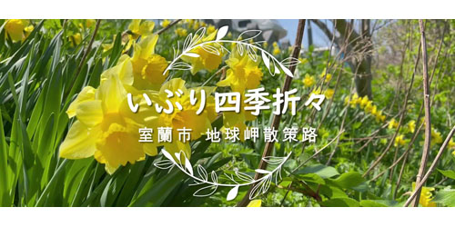記事写真メイン
