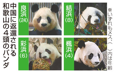 記事写真メイン