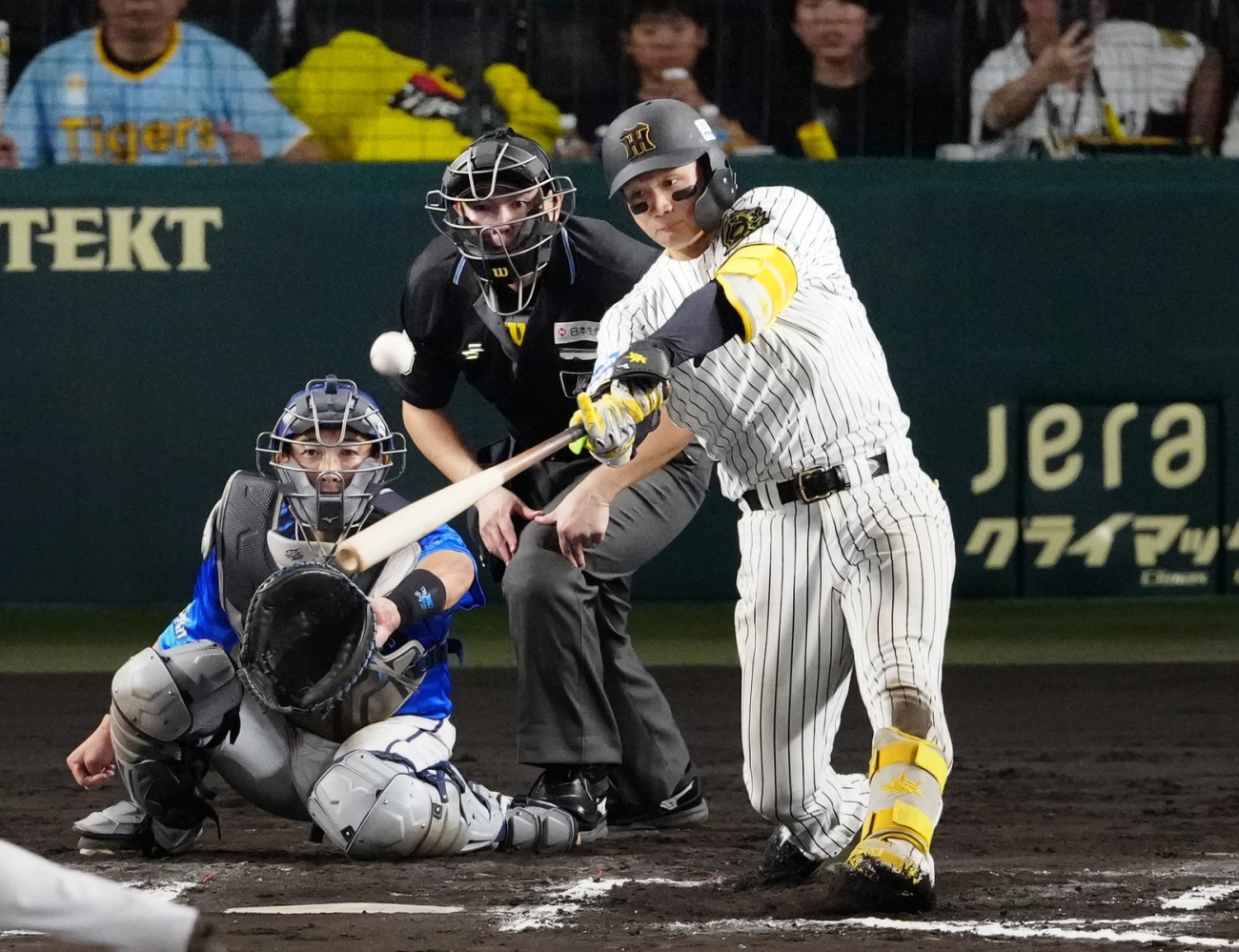 記事写真メイン