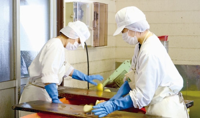写真：壮瞥産リンゴを切り分けて搾汁する作業員