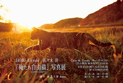 写真：２１日から開催する佐々木さんの写真展「俺たち自由猫」