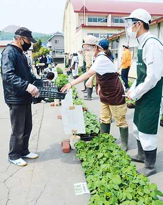 写真：生徒たちが育てた野菜の苗などが提供された壮瞥高校の朝市