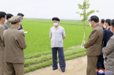 写真：北朝鮮黄海南道の農場を視察する金徳訓首相（中央）。朝鮮中央通信が２５日報じた（朝鮮通信＝共同）