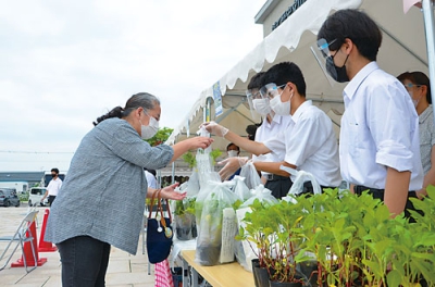 写真：プロジェクト参加希望者に藍の苗を手渡す伊達高等養護学校の生徒（右）