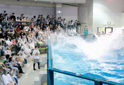 写真：観客席に大量の水しぶきを浴びせて盛り上がったイルカスプラッシュタイム