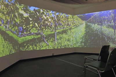 写真：北海道大学総合博物館で体験できるブドウ畑のＶＲ映像