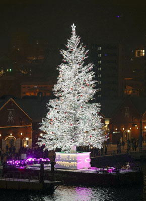 写真：函館市の赤レンガ倉庫前の海上にお目見えし、点灯された巨大クリスマスツリー＝１日夜