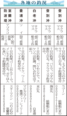 写真：