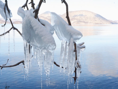 写真：中島をバックに枝から湖面に向かって垂れ下がる「しぶき氷」＝１８日午前１０時２０分ごろ、壮瞥町東湖畔