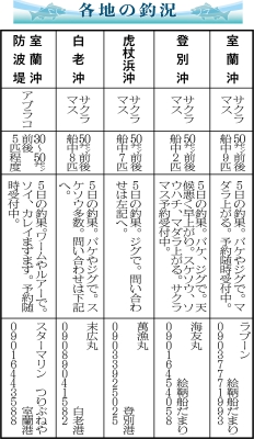 写真：