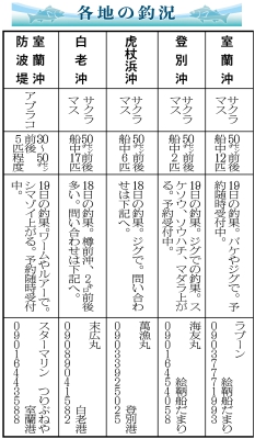 写真：