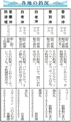 写真：