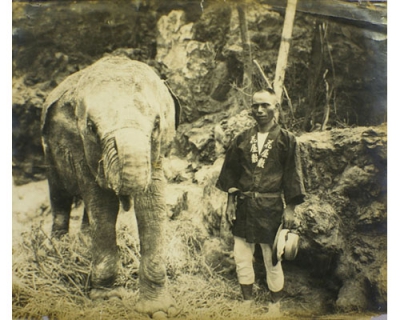 写真：救出されたゾウと福井酉造さんとみられる写真（東京都復興記念館所蔵）