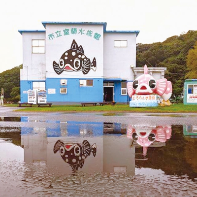 写真：