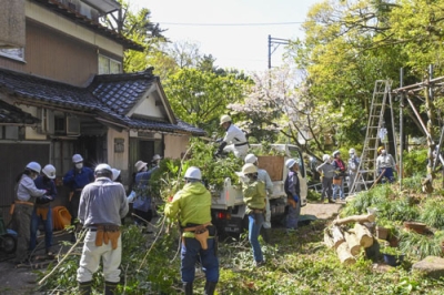写真：切り落とした枝をトラックで搬出する「カイニョお手入れ支援隊」＝４月１３日、富山県砺波市