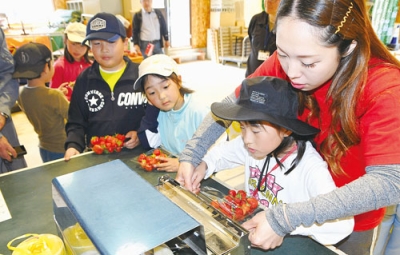 写真：イチゴのパック詰めに挑戦する児童
