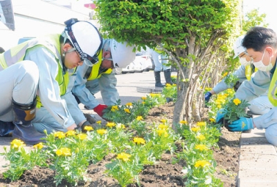 写真：黄色のマリーゴールドを植える社員