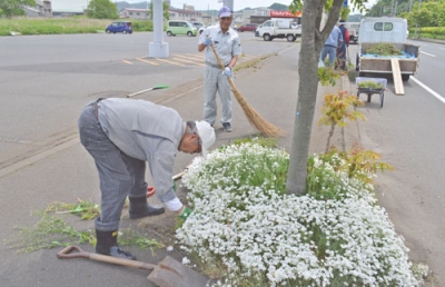 写真：植樹升の周りを手入れする羽立総合建設の社員