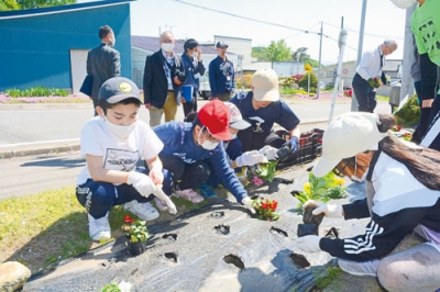 写真：人権の花を植える豊浦小の児童